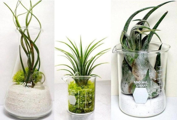 實驗室玻璃器皿玻璃容器